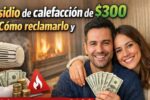 subsidio de calefacción de $300 — cómo reclamarlo y depósitos desde marzo 2026
